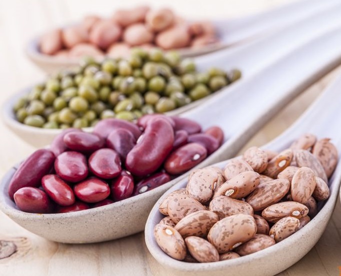 Wholesale beans in stock