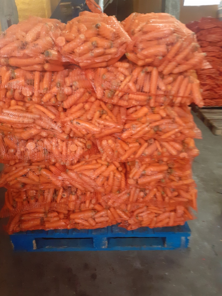 I will sell fodder carrots 30 gr per kg