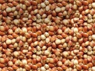 I buy all year round: - brown flax, golden