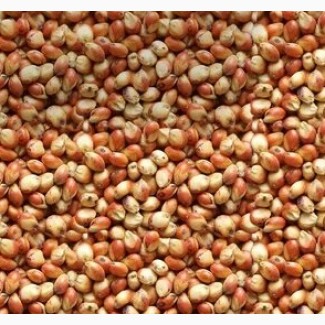 I buy all year round: - brown flax, golden flax (price 23,500 UAH / 720 $), - beans (Price 800 $), - millet (Price 250 $), - sorghum (Price 240 $)