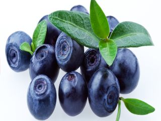 Blueberry Powder contain a small amount of vitamin C,