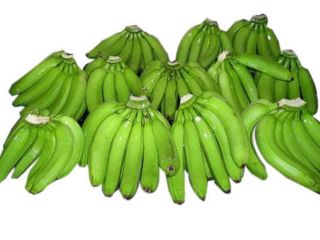 Fresh Cavendish Banana with Best Price Wholesaledish Banana with