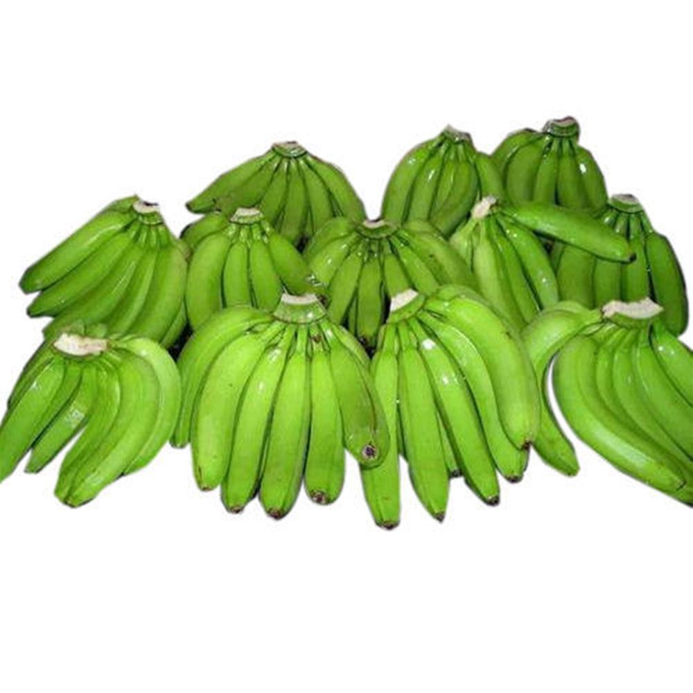Fresh Cavendish Banana with Best Price Wholesaledish Banana with Best Price Wholesale We are one of the largest and most prestigious Distributors, Exporters