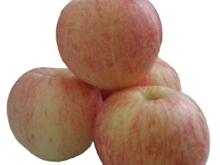 We export apples such as Fuji, Golden Delicious, Granny