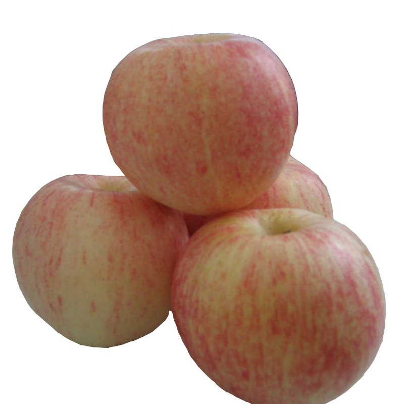 We export apples such as Fuji, Golden Delicious, Granny Smith, Pink Lady, Royal Gala, Starking, Starkimson, Sundower and Top Red / Red Chief Gala apple Medium
