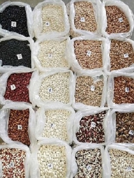 I'm selling beans