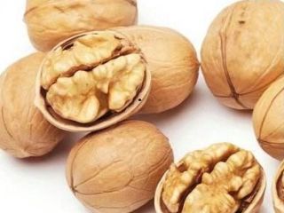 Almonds, Cashew Nuts, Pistachio Nuts, Hazel Nuts, Betel Nuts,