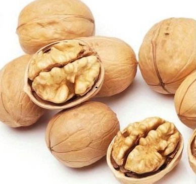 Almonds, Cashew Nuts, Pistachio Nuts, Hazel Nuts, Betel Nuts, Hazelnuts, Brazil Nuts, Pecan Nuts, Pine Nuts, Walnuts, Macadamia Nuts, Chestnuts