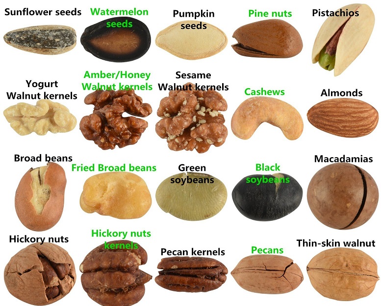 CONTACT US AT ( ) FOR MORE INFORMATION Almonds, Cashew Nuts, Pistachio Nuts, Hazel Nuts, Betel Nuts, Hazelnuts, Brazil Nuts, Pecan Nuts, Pine Nuts, Walnuts