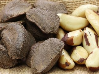 Almonds, Cashew Nuts, Pistachio Nuts, Hazel Nuts, Betel Nuts,