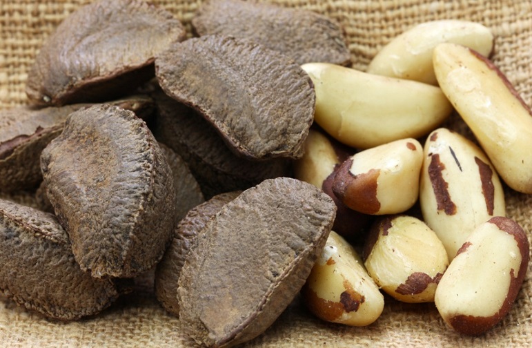 Almonds, Cashew Nuts, Pistachio Nuts, Hazel Nuts, Betel Nuts, Hazelnuts, Brazil Nuts, Pecan Nuts, Pine Nuts, Walnuts, Macadamia Nuts, Chestnuts