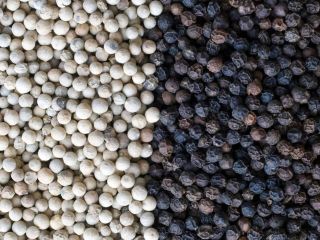Almonds, Cashew Nuts, Pistachio Nuts, Hazel Nuts, Betel Nuts,