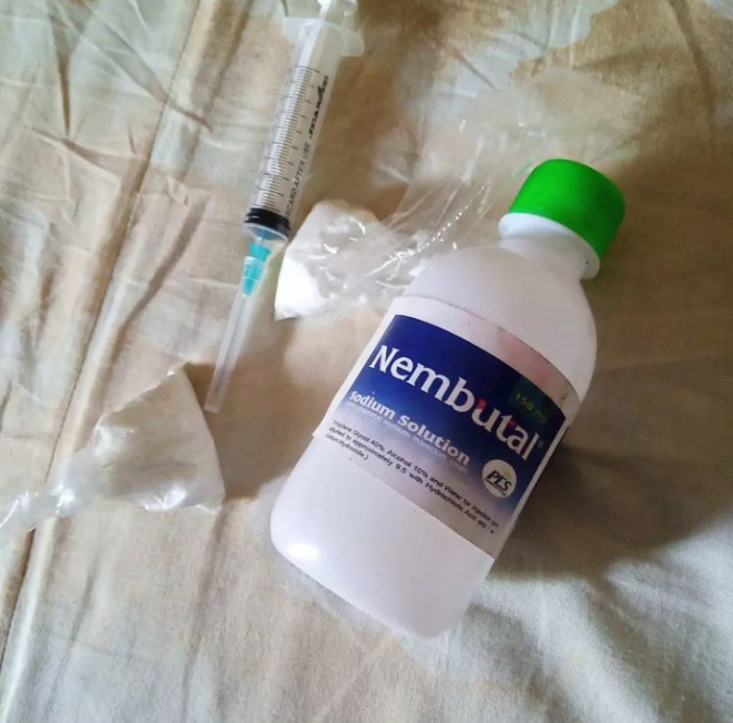 What is pentobarbital? Pentobarbital, also known as Nembutal, is a fast-acting barbiturate