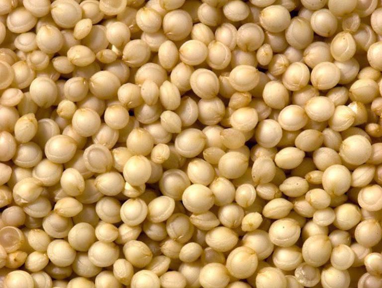 Quinoa grain abailable