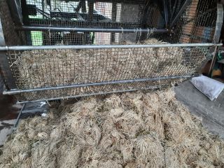 I will sell valerian root, washed, dried, packed in
