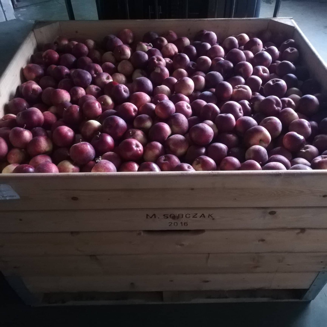Empire Apple for sale - 18 boxes