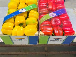 for sale red California red, green and yellow peppers
