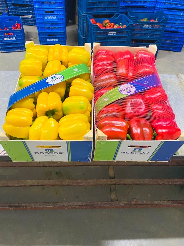 for sale red California red, green and yellow peppers from organic farming