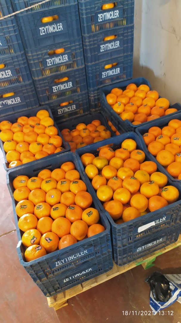 for sale wholesale quantities of navaline oranges from organic farming in Turkey