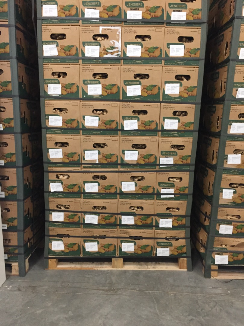 I will sell fresh Ginger, First class, packed in a 13.6 kg carton, Peruvian origin