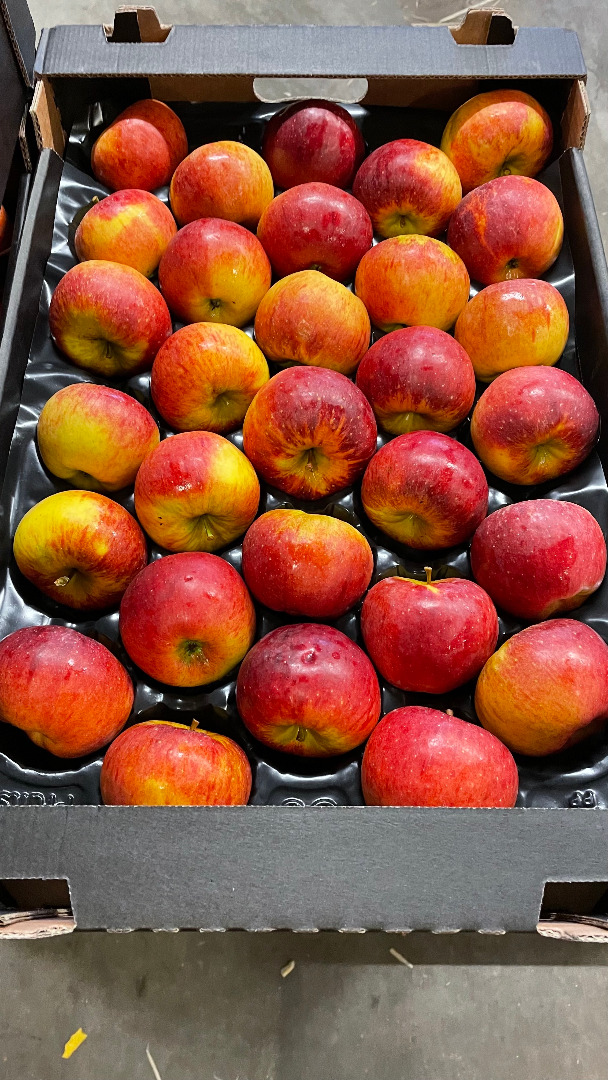 I will sell a Topaz apple and other dessert varieties