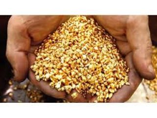 Buy High quality Heavy Gold Bars & Nuggets Gold