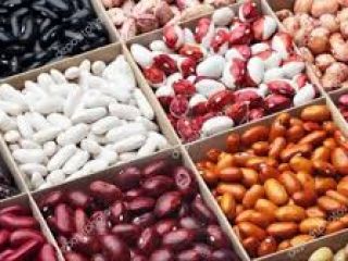 Buy beans. Selling beans Beans wholesale. We offer to