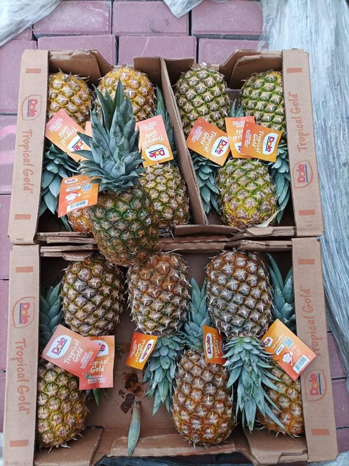 Hello, Lime 4kg-18 PLN Tangerine 10kg-27 PLN Lemon 10kg-25 PLN Mango 9pcs / 4.5kg- 16 PLN Green grapefruit 12kg- 32 PLN Pineapple 7pcs-30 PLN Avocado hass