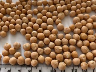 I will sell chickpeas and chopped chickpeas (half chickpeas)