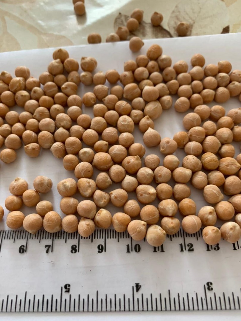 I will sell chickpeas and chopped chickpeas (half chickpeas) of very good quality: Chickpeas / chickpeas 6+: Purity 99.5% sortex Wholesale price when buying 22