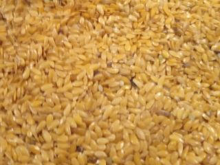 I will sell golden flax (Jantarol) harvest in 2021.