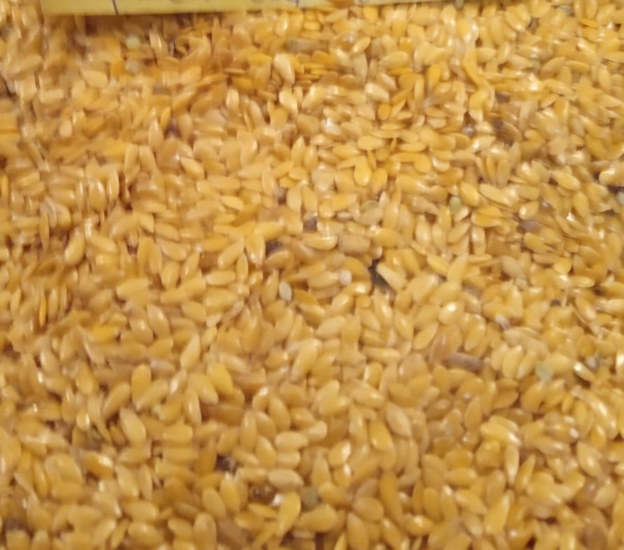 I will sell golden flax (Jantarol) harvest in 2021