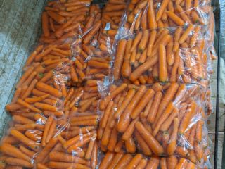We sell fresh carrot first class packed in 5kg