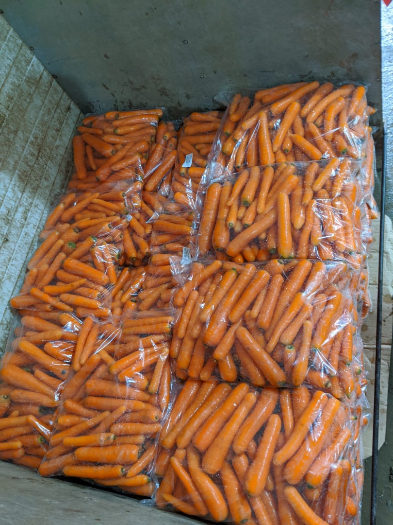 We sell fresh carrot first class packed in 5kg plastic bags