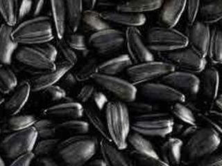 I am selling large quantities of organic soy products