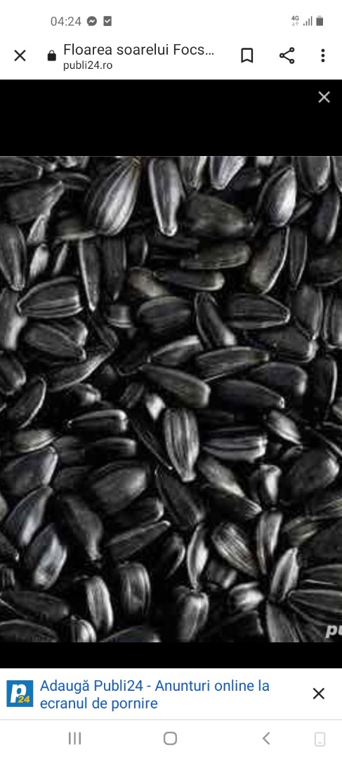 I am selling large quantities of organic soy products and sunflower seeds