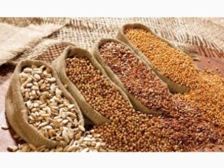 I buy beans, flax, sorghum, millet. - flax brown,