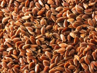 Our company is ready to offer supplies of flax