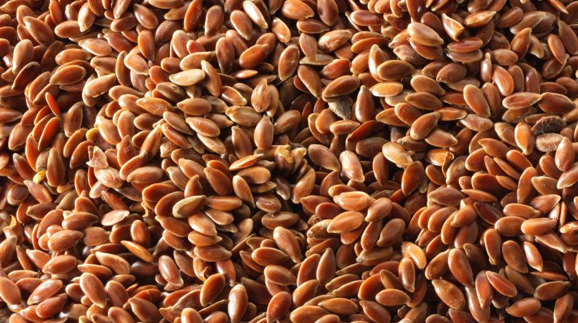 Our company is ready to offer supplies of flax seeds for fodder and technical purposes