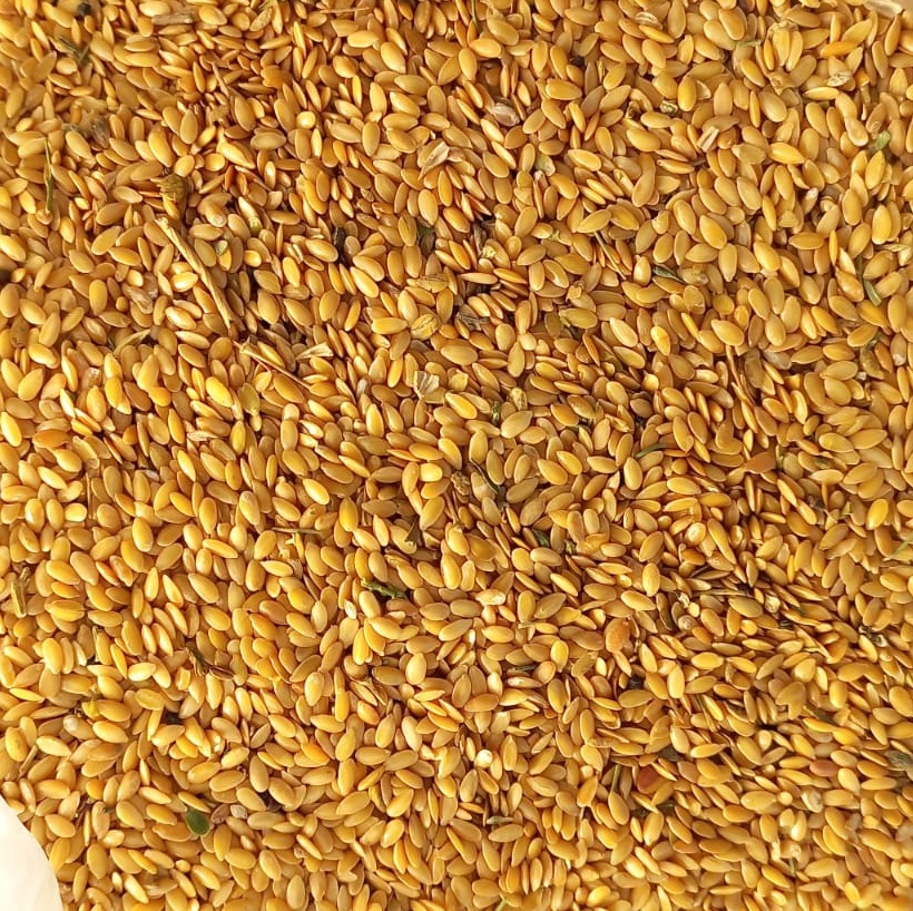 Nasza firma SEEDMARKET LLC, z siedzibą w Moskwie, Rosja, zajmuje się hurtową sprzedażą zbóż, roślin strączkowych i nasion oleistych w kraju i za granicą