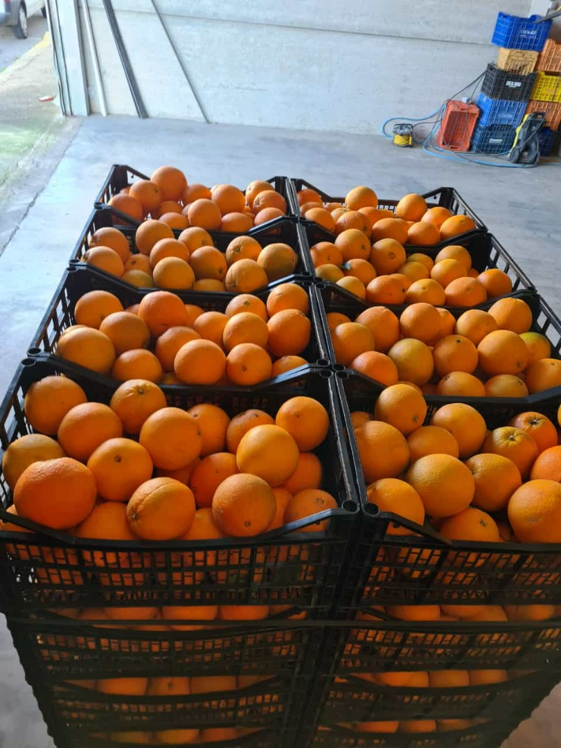 Spanish orange for sale