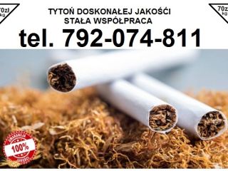 Machorka for stuffing into tubes for kilograms Order from