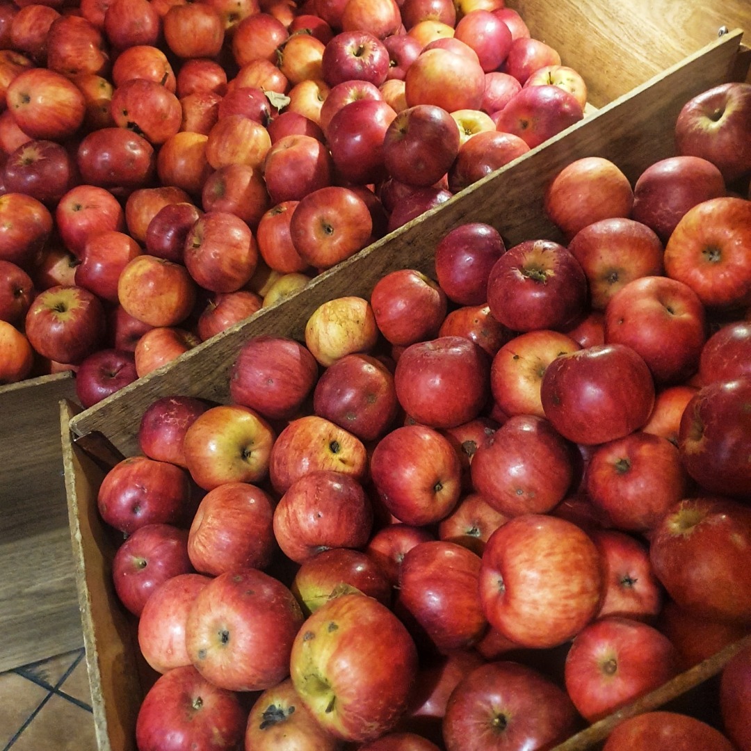 Idared ecological apples for sale (certified)