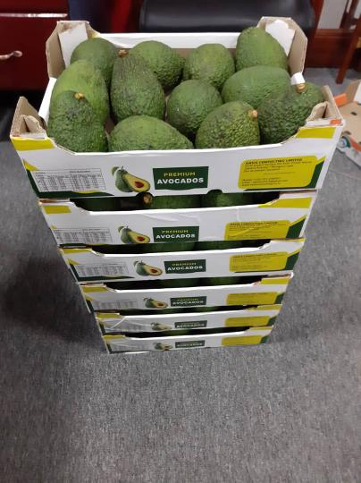 Hello, hass, fuerte avacado Available at a good price price Quality assurance Whatsapp number : Email