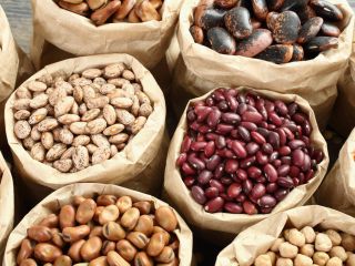 Bean trade wholesale (assortment) We sell quality beans made