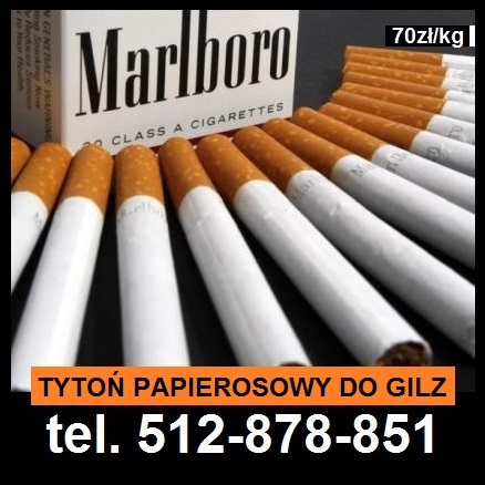 I am selling Tyt0n paper, packed in 1 kg string bags at the price of PLN 70 / kilogram + PLN 25 courier delivery, payment on delivery