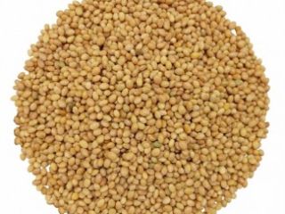 I will buy beans, flax (brown, golden), sorghum, millet.