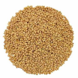 I will buy beans, flax (brown, golden), sorghum, millet