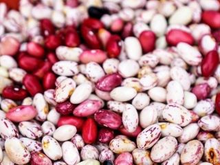 We sell high quality beans. More than 20 varieties